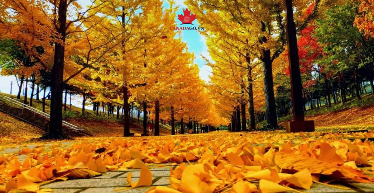 thiên nhiên Canada