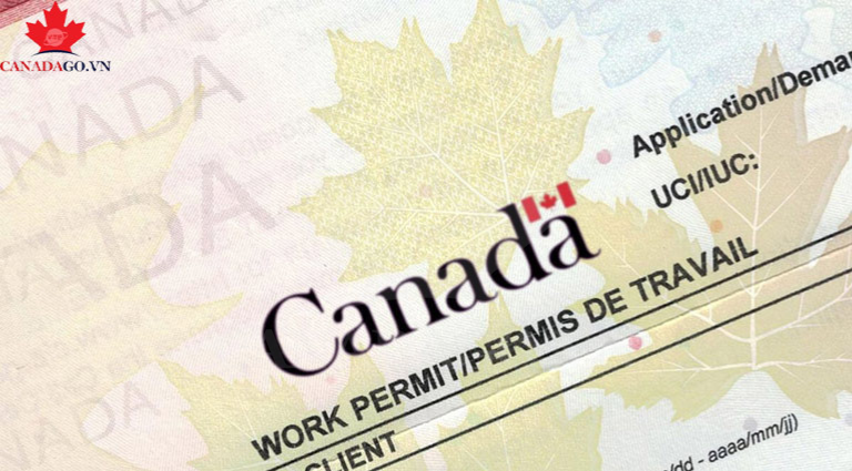 thủ tục xin work permit