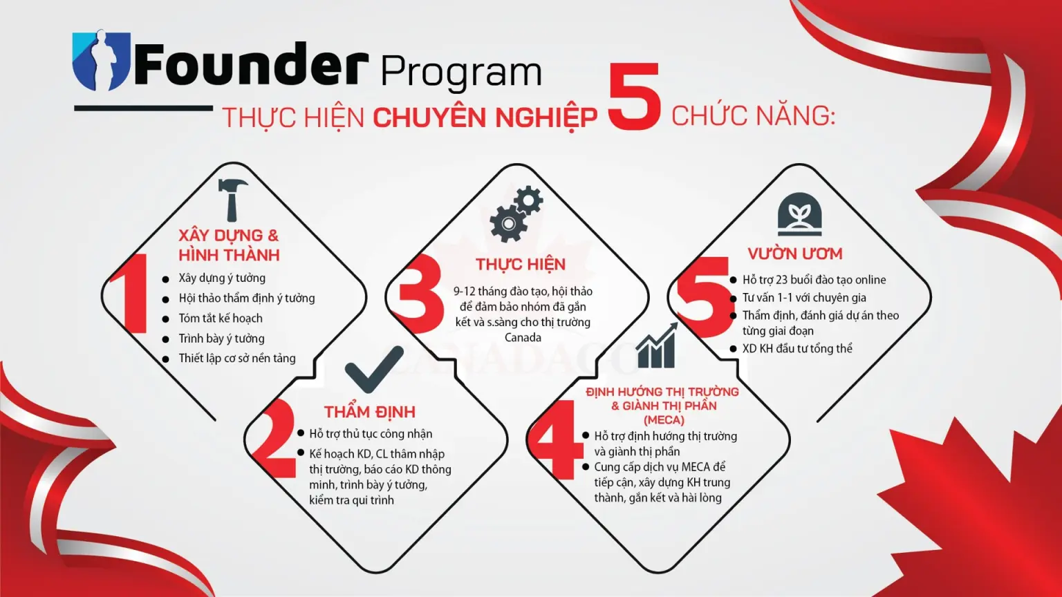 chương trình statup visa