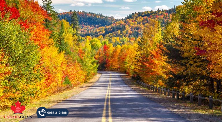 chinh sách nhập cư canada