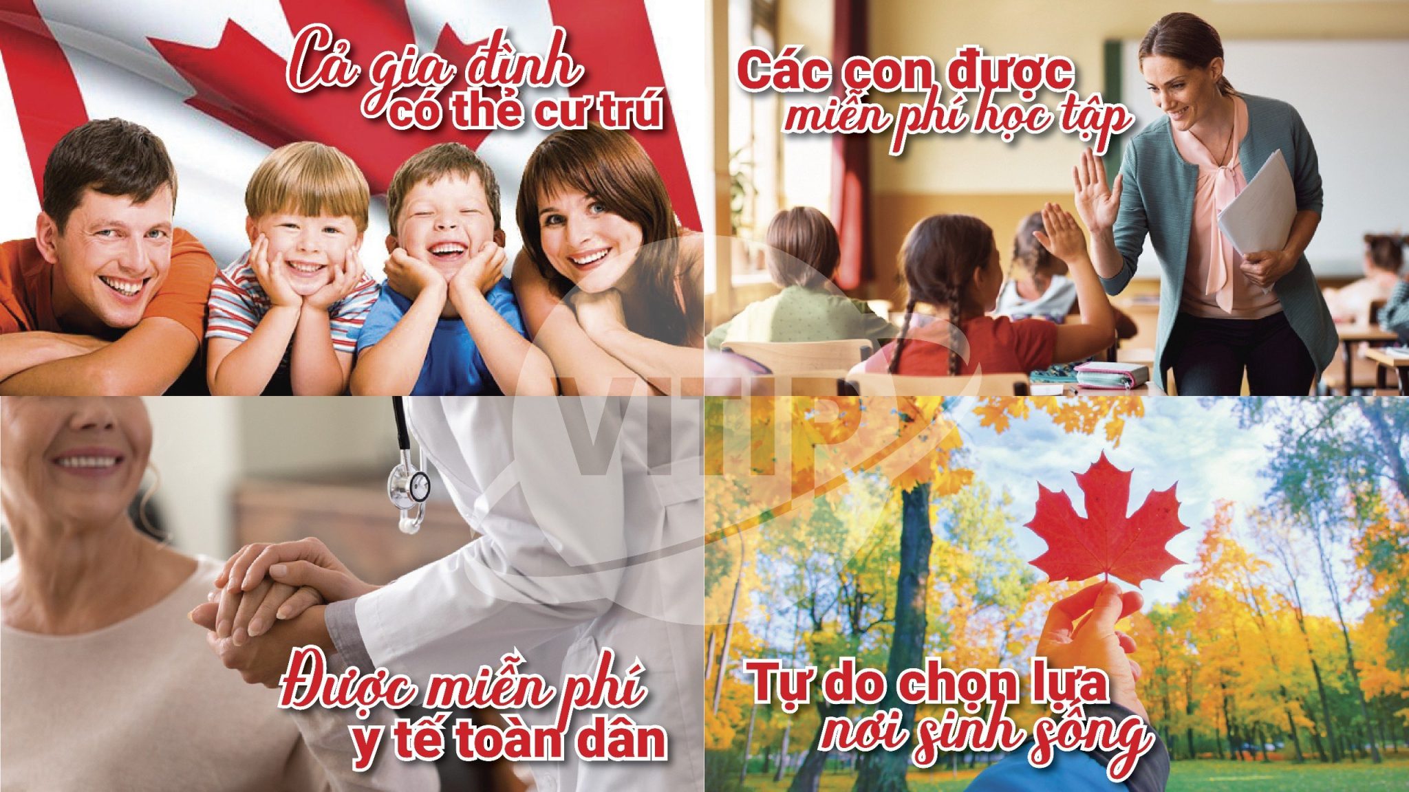quyền lợi thẻ xanh Canada 