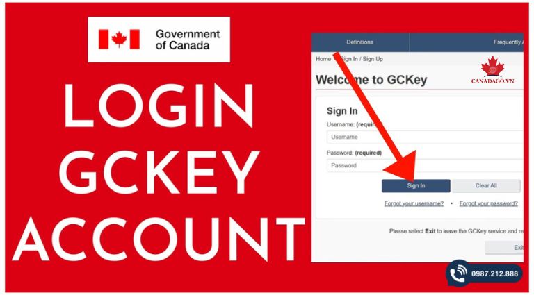 xin visa canada online