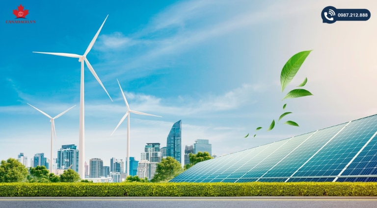 Các Start-Up Canada Nổi Bật Năm 2023