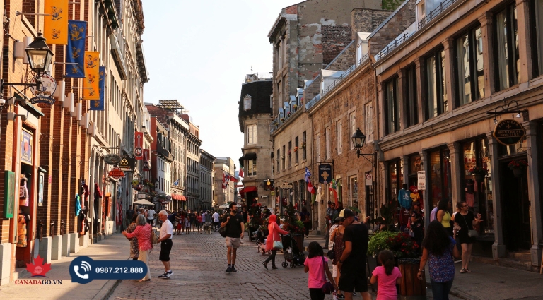 thành phố lớn tại Canada