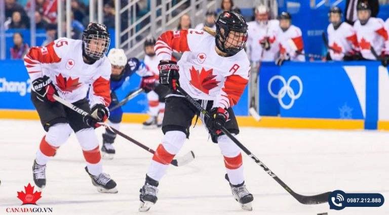 đặc trưng văn hóa canada 