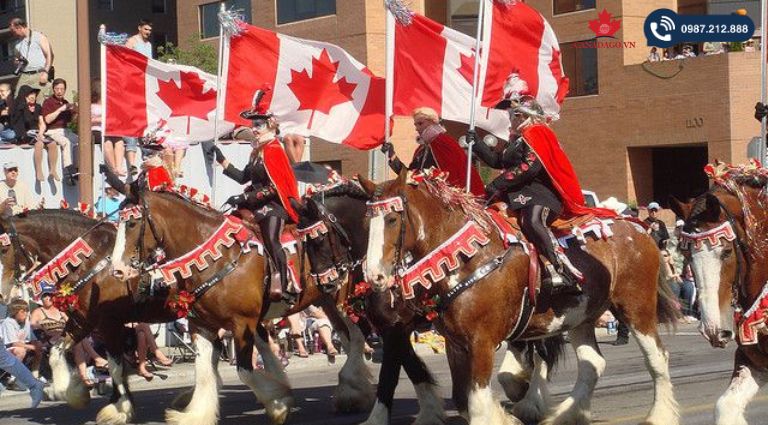 đặc trưng văn hóa Canada 