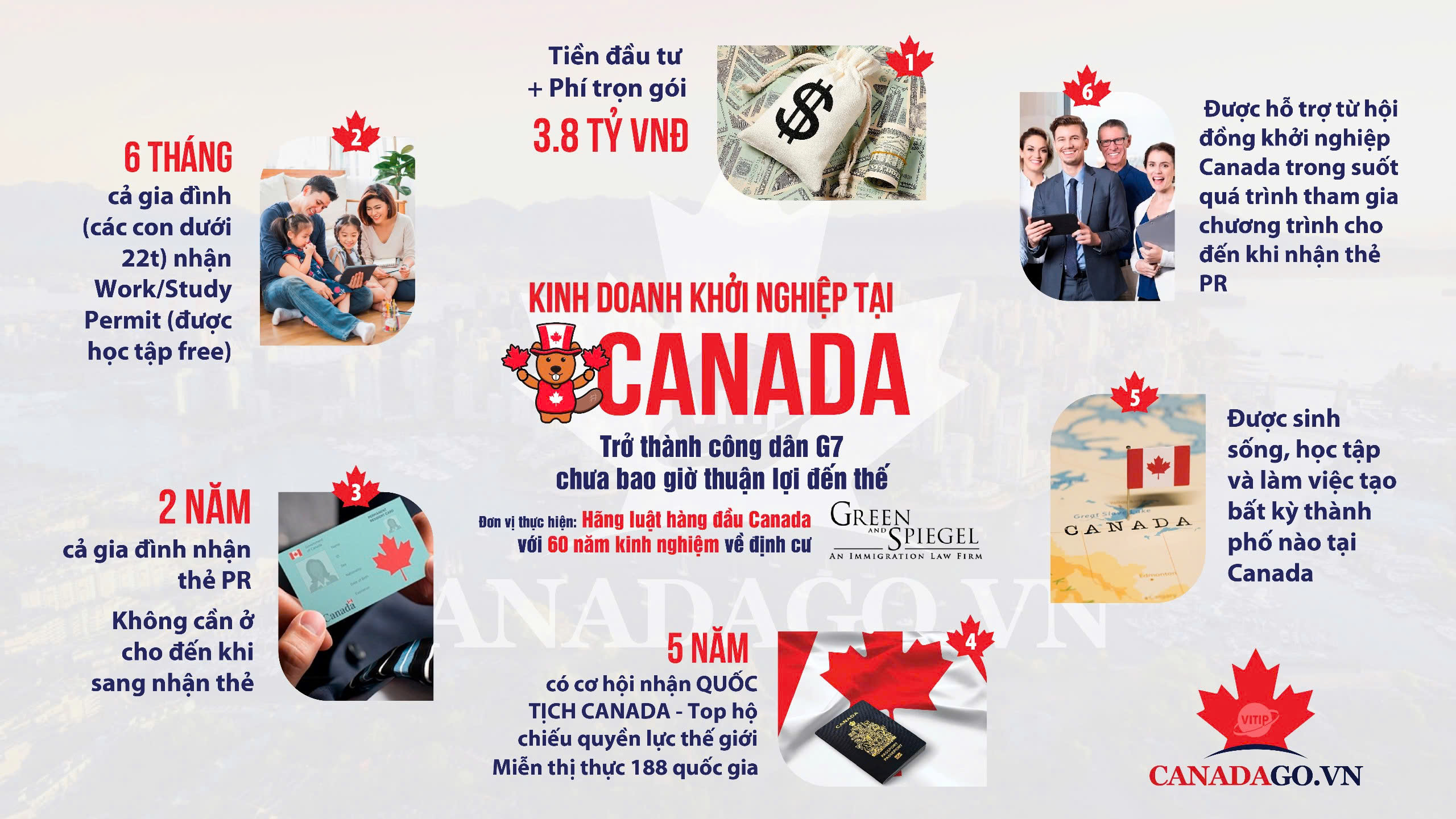 chương trình startup Visa