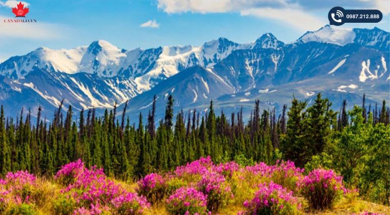 khí hậu Canada