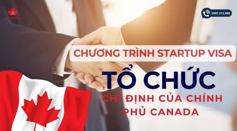 tổ chức chỉ định