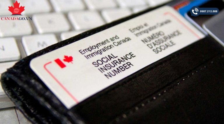 lời khuyên cho người mới nhập cư Canada 