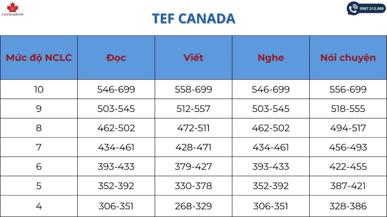 chứng chỉ TEF